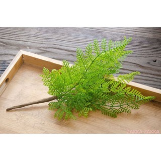 [HOME] 蕨葉 蕨類 仿真植物 葉子 造景 盆栽 婚禮 居家民宿 會場 空間佈置 設計 歐式鄉村