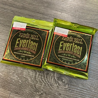 Ernie Ball EVERLAST 黃銅 木吉他弦 2556/2558/2560 奈米覆膜 公司貨 【宛伶樂器】