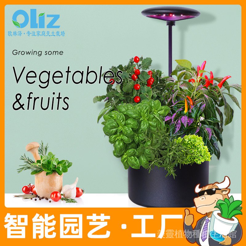 植物栽培箱 Ptt Dcard討論與高評價網拍商品 21年8月 飛比價格