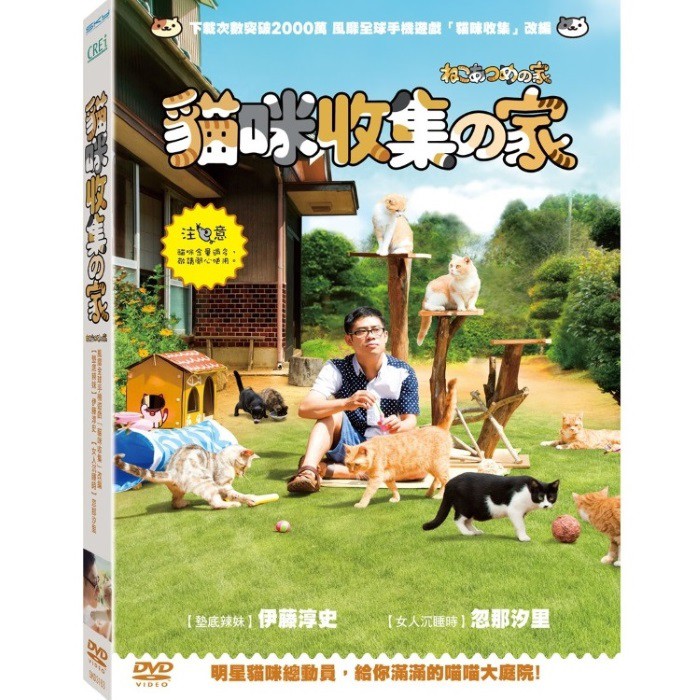 台聖出品 – 貓咪收集之家 DVD – 由伊藤淳史、忽那汐里、木村多江主演 – 全新正版