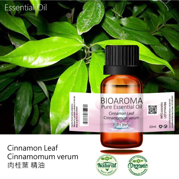 【買精油贈送精油電子書】【純露工坊】肉桂葉精油Cinnamon Leaf - Cinnamomum verum  10m