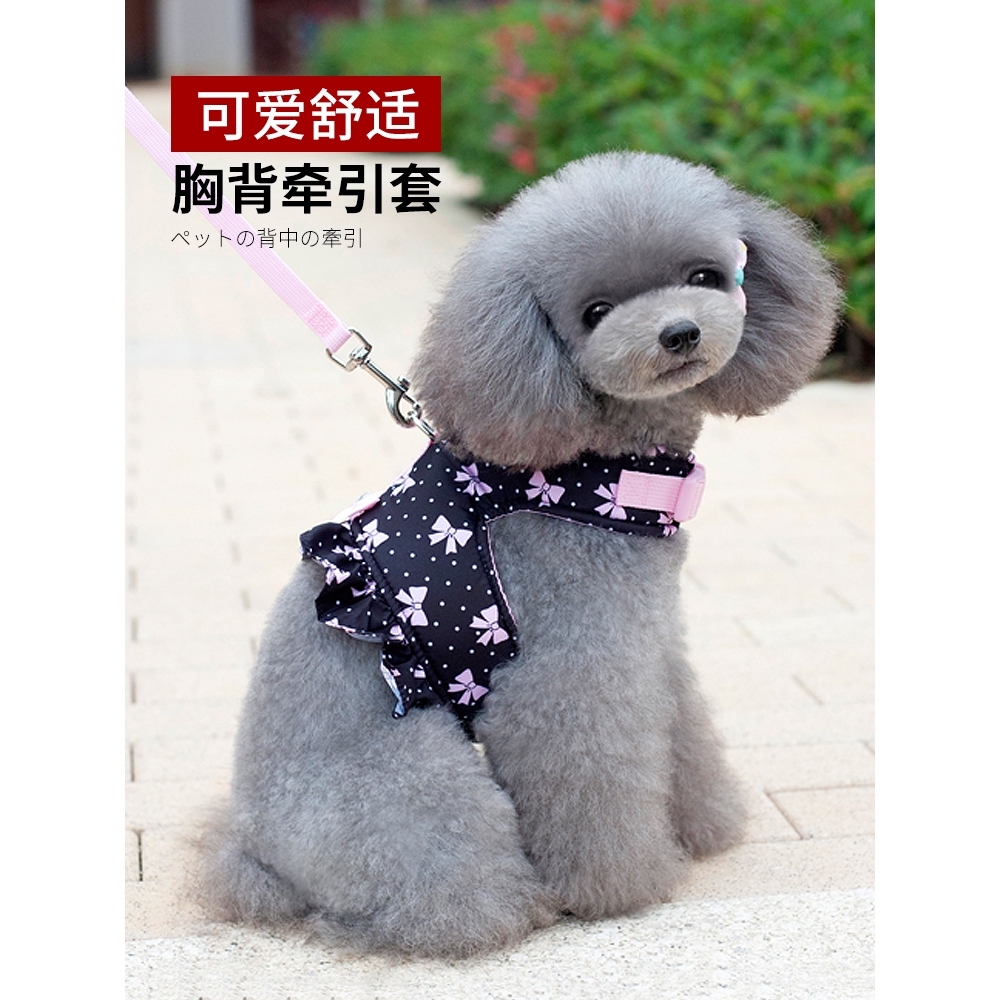 寵愛一生現貨 狗狗背帶胸背帶外出小型犬牽引繩泰迪背心式狗帶寵物狗繩子套裝背包 蝦皮購物