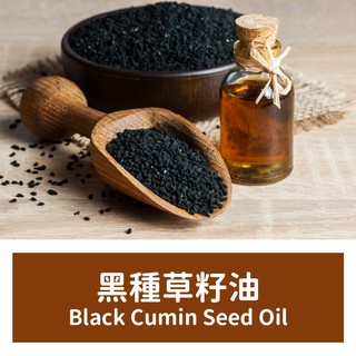 【馥靖精油】 黑種籽油 黑種草籽油 Black Cumin Seed Oil
