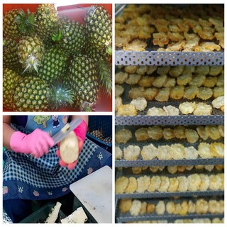 甘甜水果果物 果乾批發零售 代加工 線上商店 蝦皮購物