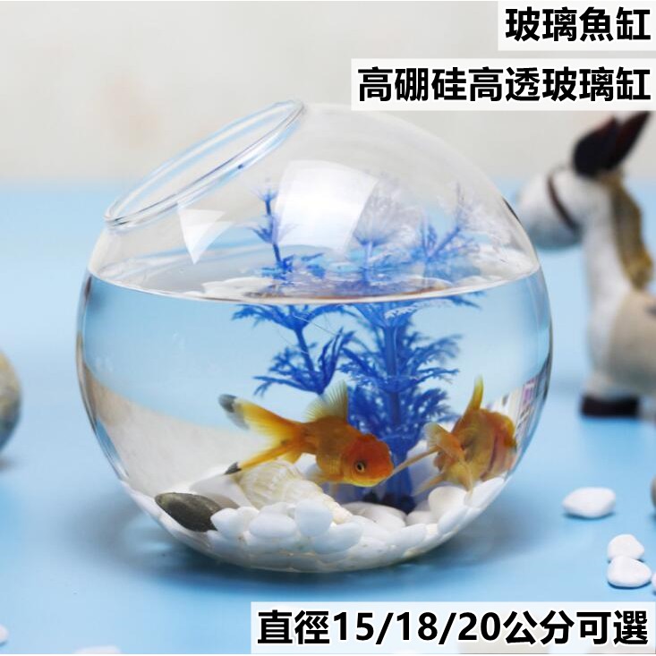 生態玻璃烏龜缸 Ptt Dcard討論與高評價網拍商品 21年11月 飛比價格