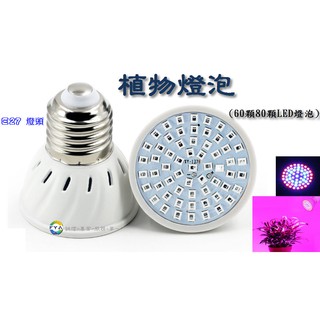 🔥高雄24H出貨🔥 LED 植物杯燈 塑膠 生長 LED燈 E27 多肉植物 植物燈 植物燈泡 B14