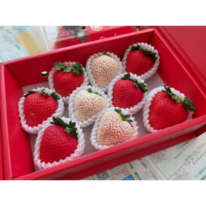無毒日本🇯🇵夢幻白草莓、艷麗紅草莓🍓🍓