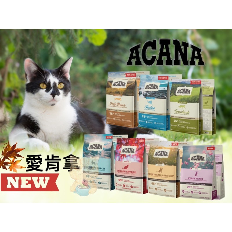 🔥領卷現折⏦原廠公司貨🐾拿鐵貓花花🐾ACANA 愛肯拿😺無穀貓飼料 全品項 無穀/低GI 挑嘴貓 acana貓