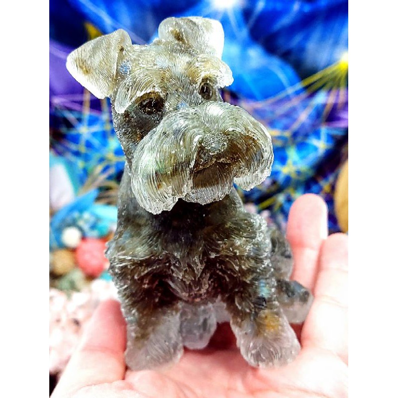 雪納瑞犬 拉長石 奧剛 守護犬我可以帶給你面對生命的勇氣 並帶來轉化 蝦皮購物