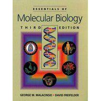二手非新書 Essentials of Molecular Biology 0867208600 五成新