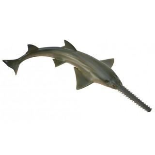 「芃芃玩具」COLLECTA 動物模型R88659 鋸鯊R88914姥鯊仿真 教材 教學