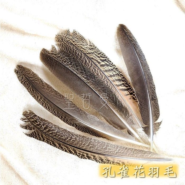 孔雀翎 孔雀金羽 孔雀藍羽毛 孔雀花羽自然脫落孔雀羽毛孔雀羽毛儀式羽毛風元素 逗貓道具 逗貓棒材料 聖哲曼 蝦皮購物