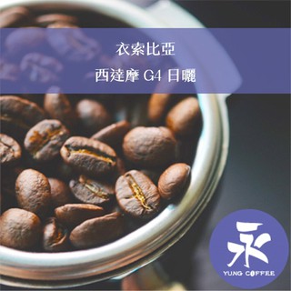 [永每咖啡]超值選399元1磅裝,西達摩G4 日曬(衣索匹亞)淺焙 咖啡豆,新鮮烘培坊,滿498免運