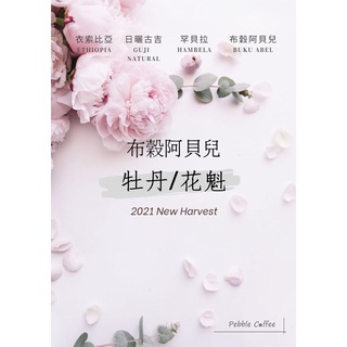 【KJS咖啡生豆】★500g包裝★衣索比亞 日曬 古吉 罕貝拉 布穀阿貝兒 G1 01 批次