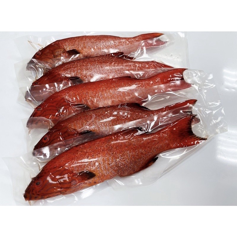 《極鮮味》紅條魚/虎條魚/深海魚/野生紅條（三去）去鰓、去鱗、去肚、方便好料理。海鮮直播、批發零售、筵席食材。