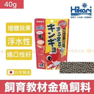 蝶尾 優惠推薦 22年10月 蝦皮購物台灣