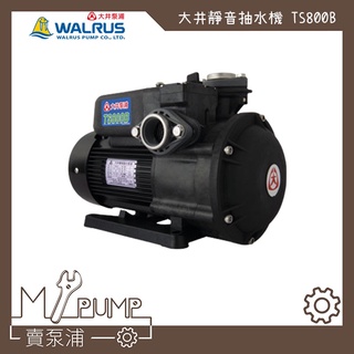 【MY.PUMP】「附發票」大井 Walrus TS800B 靜音式 抽水機 1HP 抽水馬達 TS800 水機不生鏽