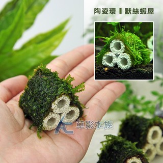 陶瓷環蝦屋 優惠推薦 23年1月 蝦皮購物台灣