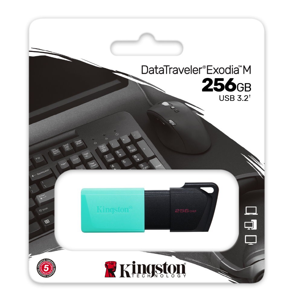 金士頓 Kingston DTXM 256G Exodia M USB3.2 256GB 隨身碟 現貨 蝦皮直送