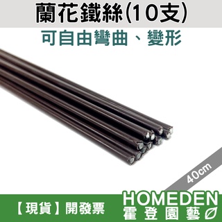 【隔日到貨】蘭花鐵絲 40cm 園藝鐵絲 植物支架 蝴蝶蘭鐵絲 花桿 支架 可自由彎曲【HOMEDEN霍登園藝】