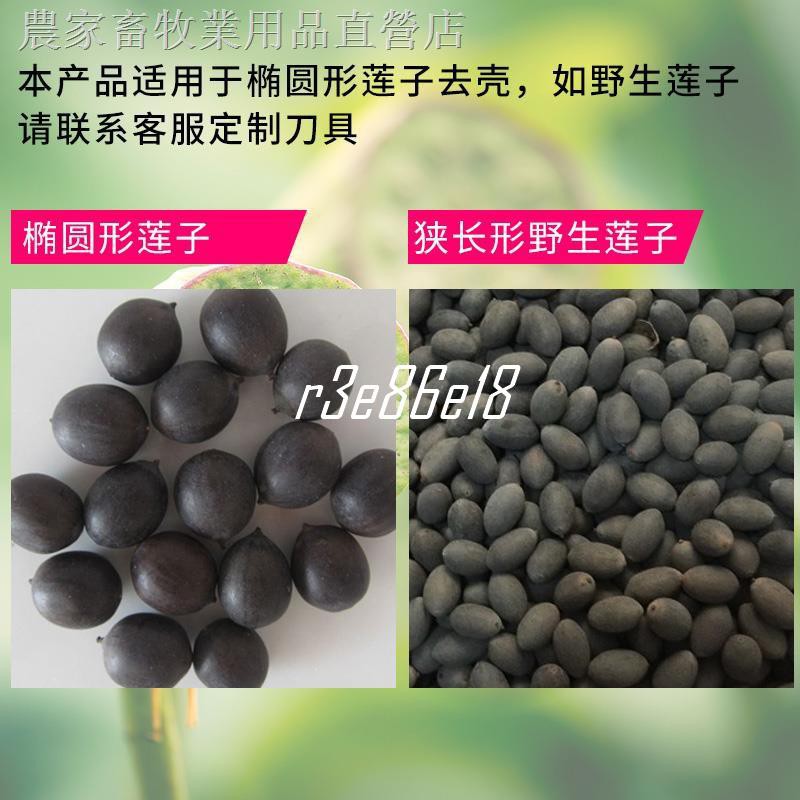 剝蓮子機器的價格推薦 21年8月 比價比個夠biggo