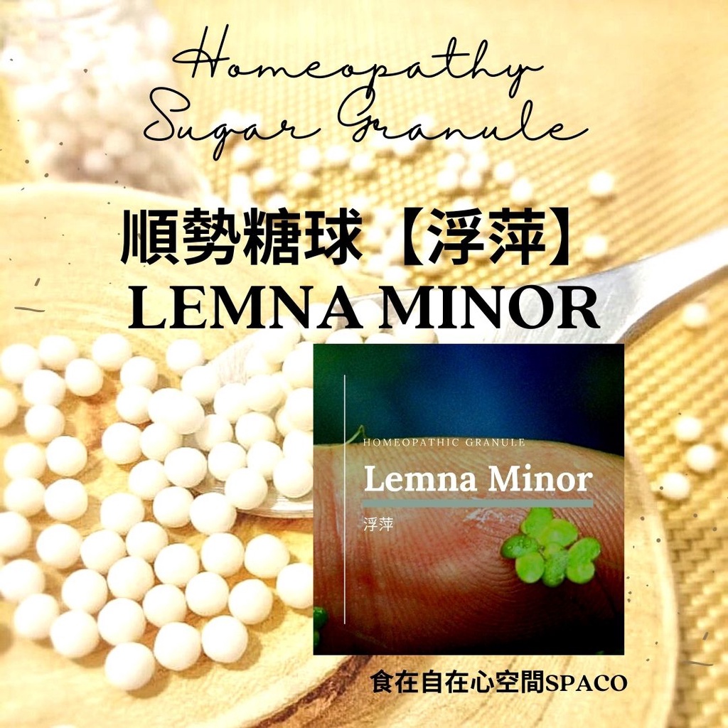 順勢糖球【浮萍●Lemna Minor 】Homeopathic Granule 9克 食在自在心空間