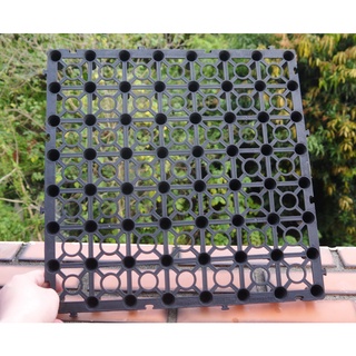 組合式排水墊(diy)(35*35cm) 隔離墊 防水隔離墊 塑膠地墊 排水板 置高墊 排水墊【花樣渼栽盆栽生活館🌿】
