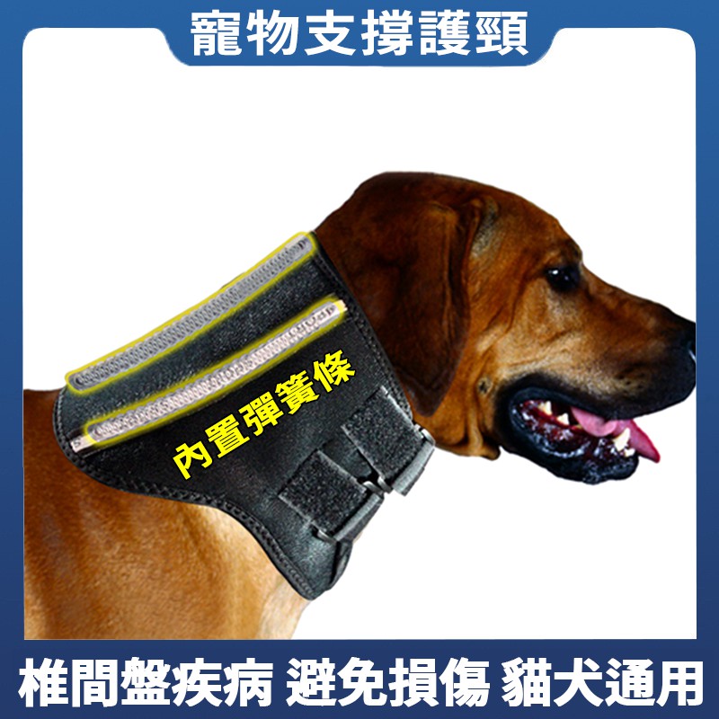 狗爸 寵物支撐護頸狗脖子扭傷犬貓頸托護頸椎保護頸椎老年犬脖子痛狗脊椎退化護具復健寵物椎間盤疾病寵物術後康復