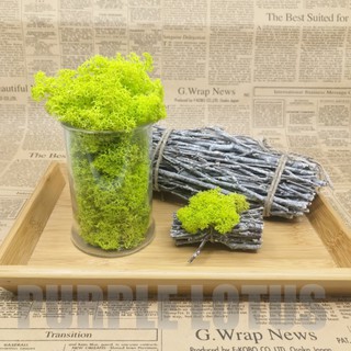 馴鹿苔的價格推薦 21年5月 比價撿便宜