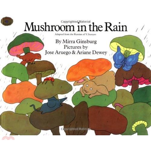 Mushroom in the Rain