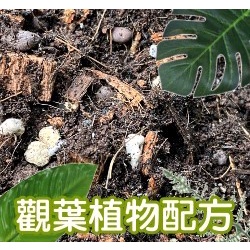 【全館590免運】觀葉植物專用栽培土、雨林植物配方 室內培養土  龜背芋、黃金葛