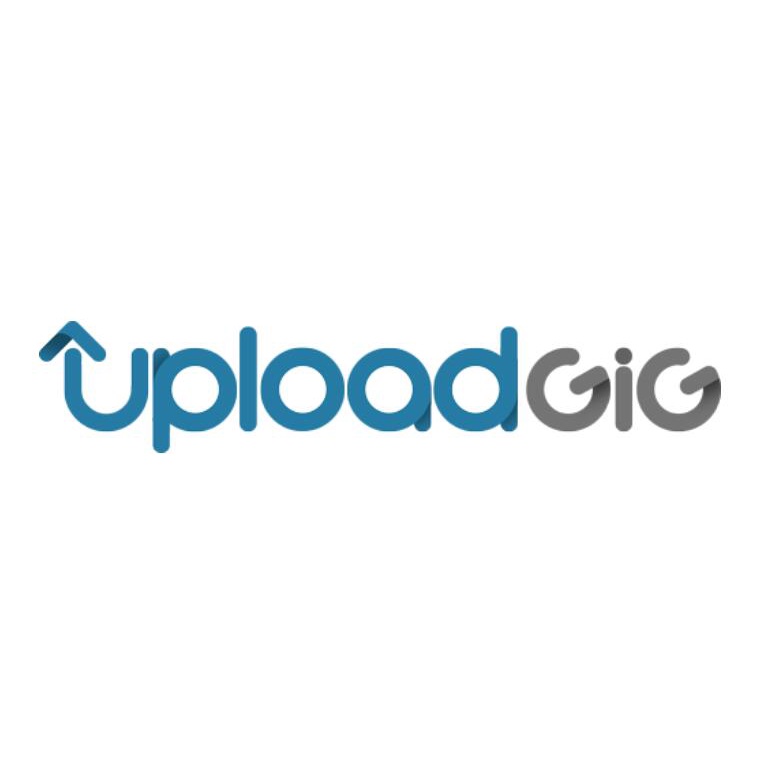 uploadgig 代理下載檔案 100M 1元 500M 5元  1G以上更便宜！！