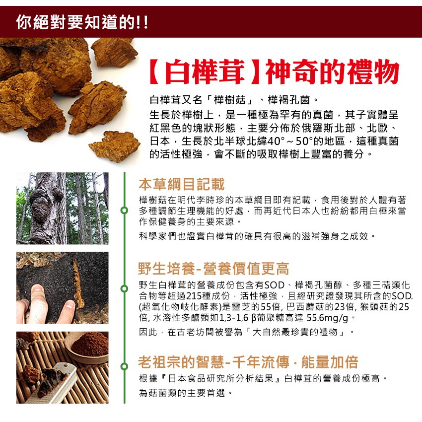 草本之家 白樺茸白樺菇膠囊1粒 蝦皮購物