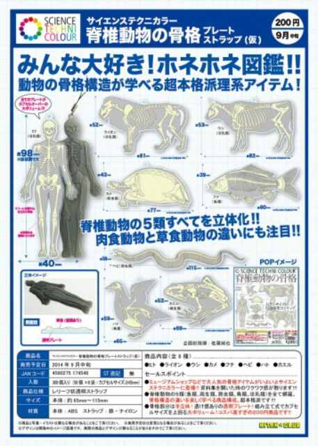動物脊椎骨格造型吊飾 蝦皮購物