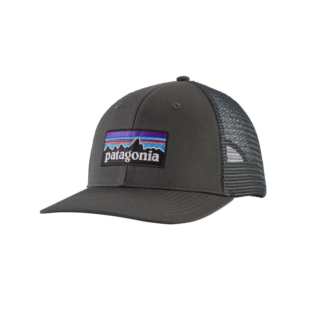 美國預購Patagonia P-6 Trucker Cap 經典 Logo 卡車司機 網帽 帽子 4色