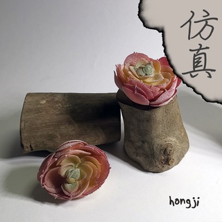 多肉 模擬多肉 微景觀 P66 假多肉植物 辦公室小物 療癒紓壓生日禮物拍照道具居家裝飾咖啡屋商店擺飾迷你木頭底座盆栽