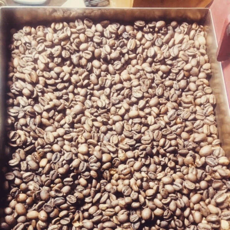 1磅咖啡豆 巴拿馬 波魁特 瑪瑪卡特莊園 卡杜艾種水洗微批次5號 咖啡豆