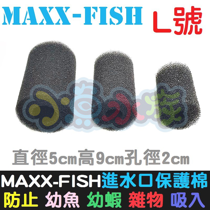【小魚水族】【MAXXFISH、進水口保護棉套、L號】入水口棉套、保護套、炸彈頭保護套、防止幼魚幼蝦吸入