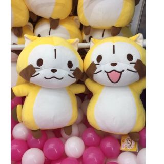 🐼🐼Toreba 抓樂霸 Rascal日本小浣熊右邊款