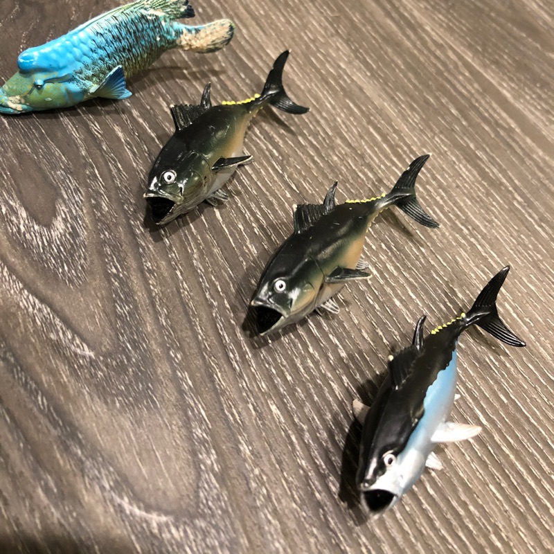日本扭蛋 日本轉蛋 扭蛋 轉蛋 隆頭魚 鮪魚 黑鮪魚