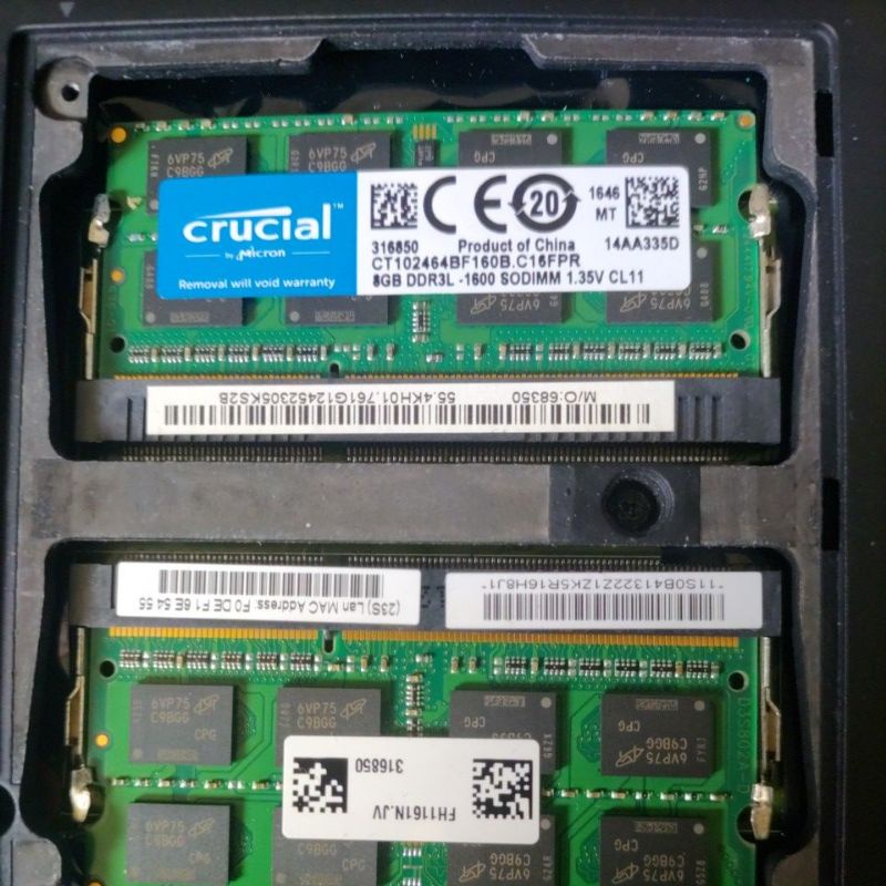 美光 Micron Crucial DDR3L 1600 8GB（單條）