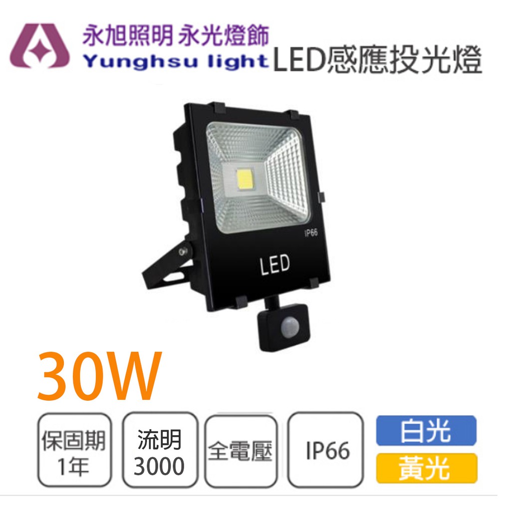 光鈦 感應式 LED 30W 投光燈 探照燈 投射燈 全電壓 白光/黃光★光彩EW3-LED-30W-6K-EU-1