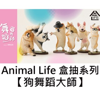 Animal Life 狗舞蹈大師 盒玩 盒抽系列 擺飾 研達 Toy Friend