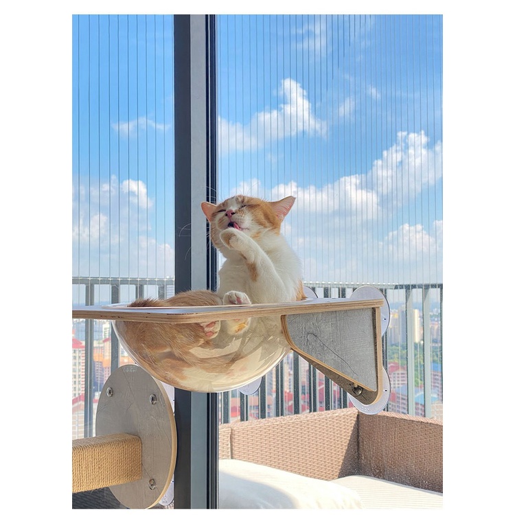 [台中現貨秒出] JoyCat 貓吊床 吸盤貓爬架 玻璃貓牆 貓跳台 貓咪吊床 免打孔貓爬架 吸盤貓吊床 貓爬架 跳台