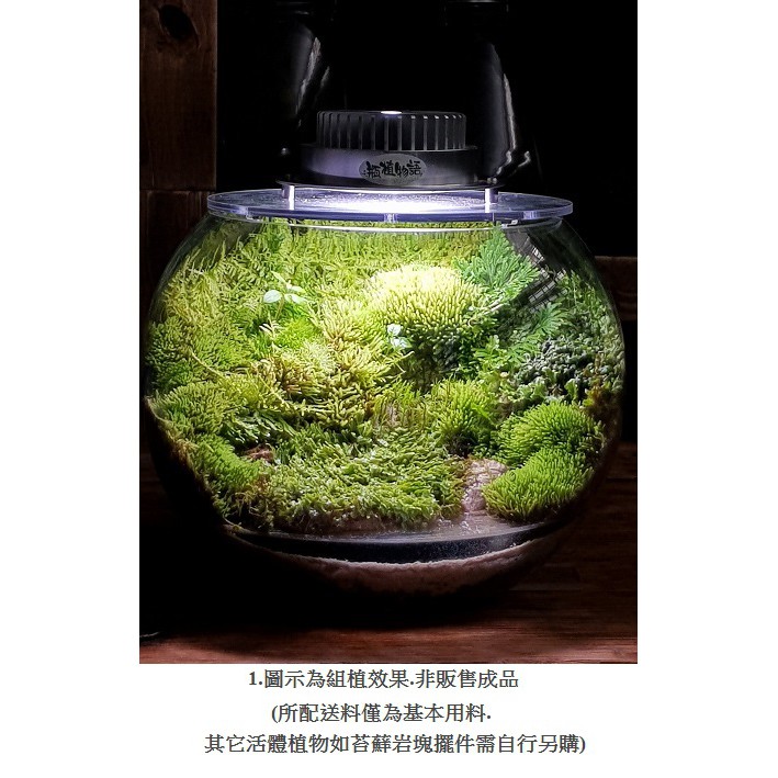 28 1附灯苔蘚山林微境景觀瓶空瓶花盆花器diy苔蘚微景觀生態瓶小品盆栽迷你盆栽 蝦皮購物