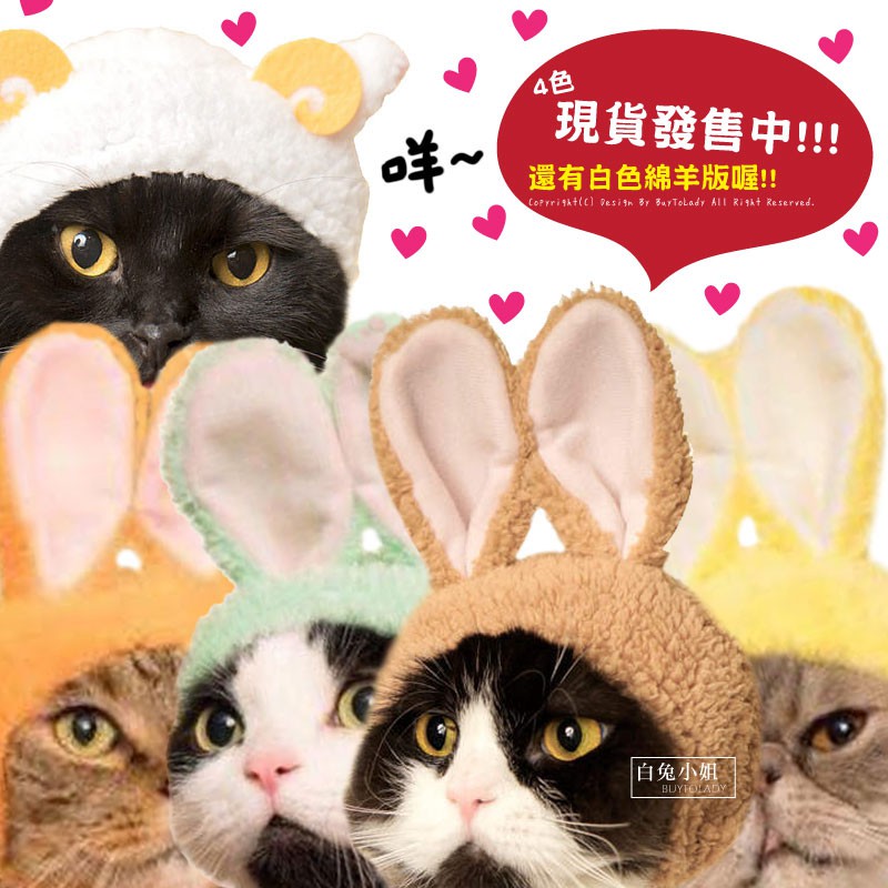 【現貨】日本帶回 人氣 扭蛋 兔子耳朵 兔子頭套 寵物帽 綿羊頭套 綿羊帽 兔耳扭蛋