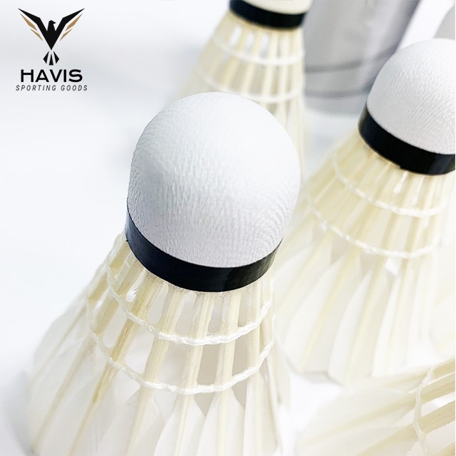 【HAVIS】◆現貨◆H016-6練習級羽毛球-12入 適合一般初學者 羽毛球 羽球 練習羽毛球 軟木羽毛球 鴨毛羽毛球