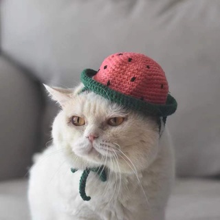 針織項圈寵物配飾貓狗帽子 頭套西瓜小帽子