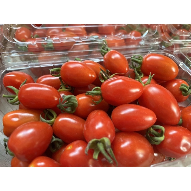 網室 玉女番茄 番茄 🍅 小番茄 3斤 6斤裝