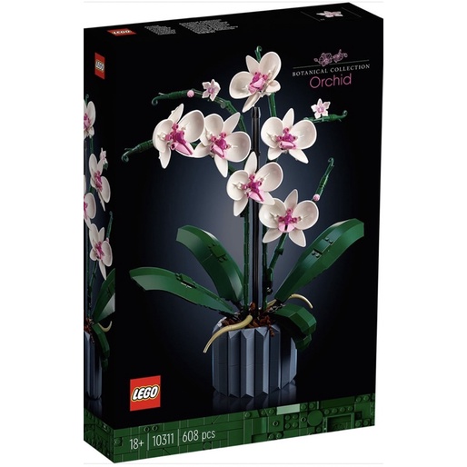 LEGO 樂高 10311 蘭花Orchid 10309 多肉植物